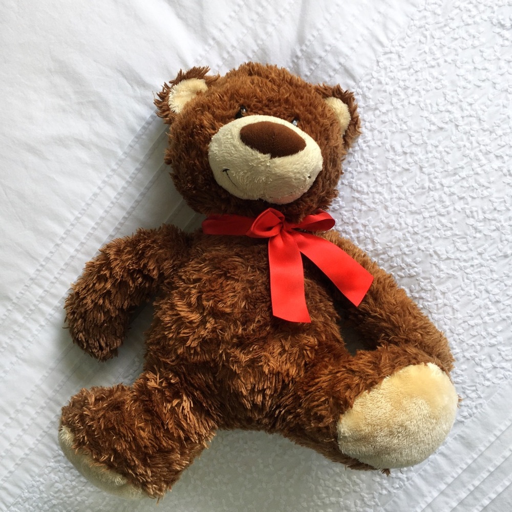 FREE ✨ Teddy Bear, looking for a home!